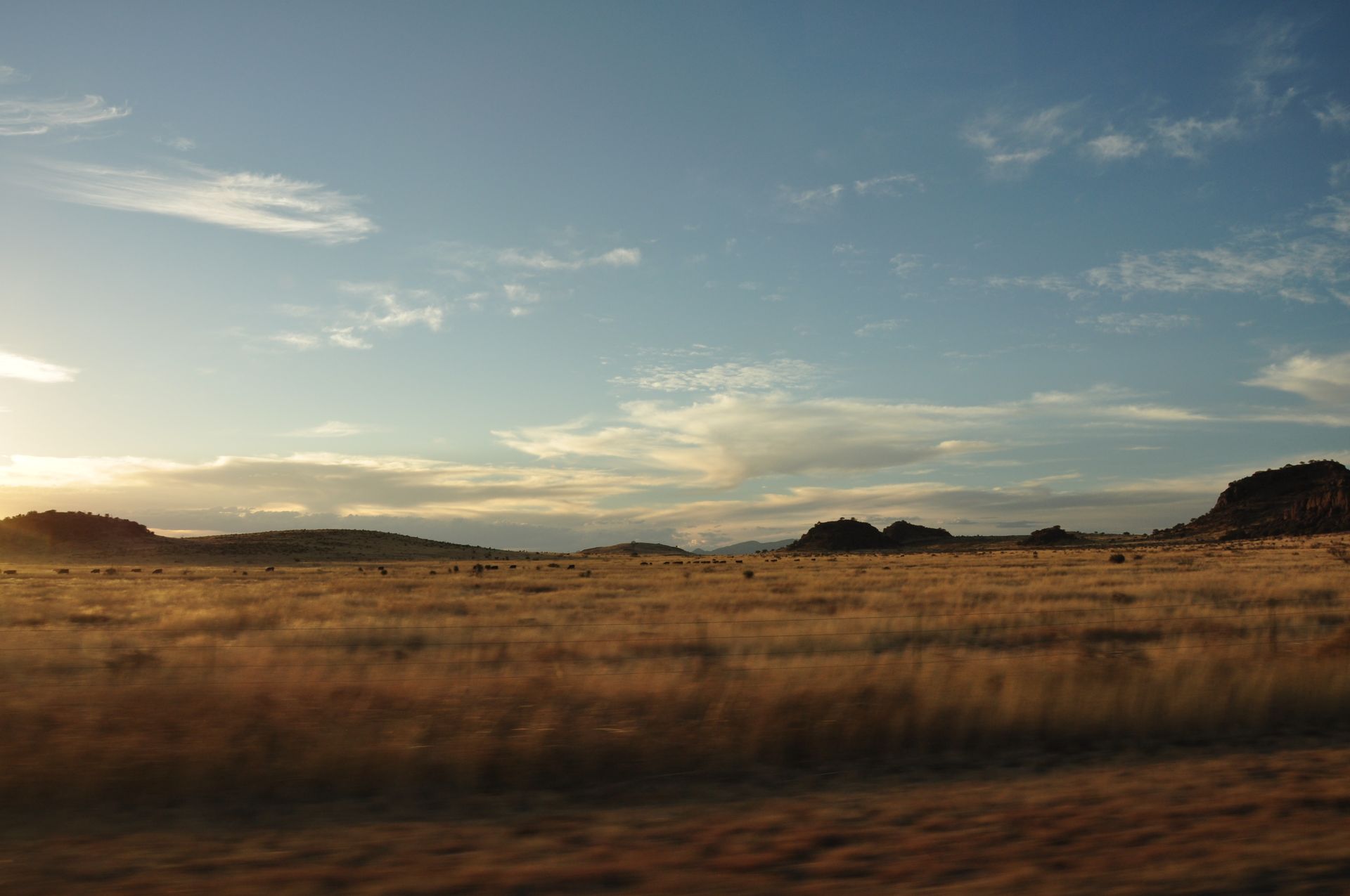 Open golden Texas savannah under a wide sky at sunrise