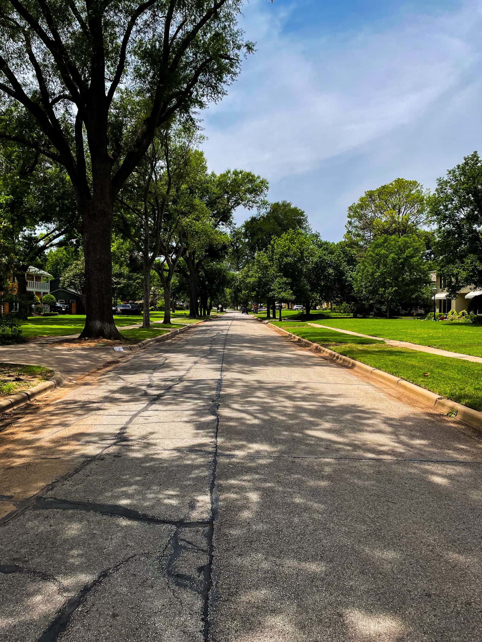 A quiet, oak-canopied suburban street with sunlight breaking through the trees.